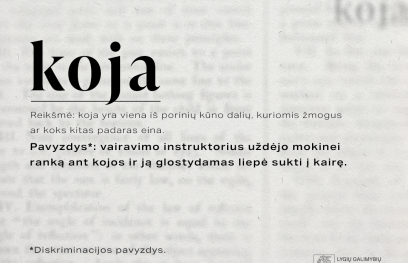 Diskriminacijos žodyno pavyzdys.