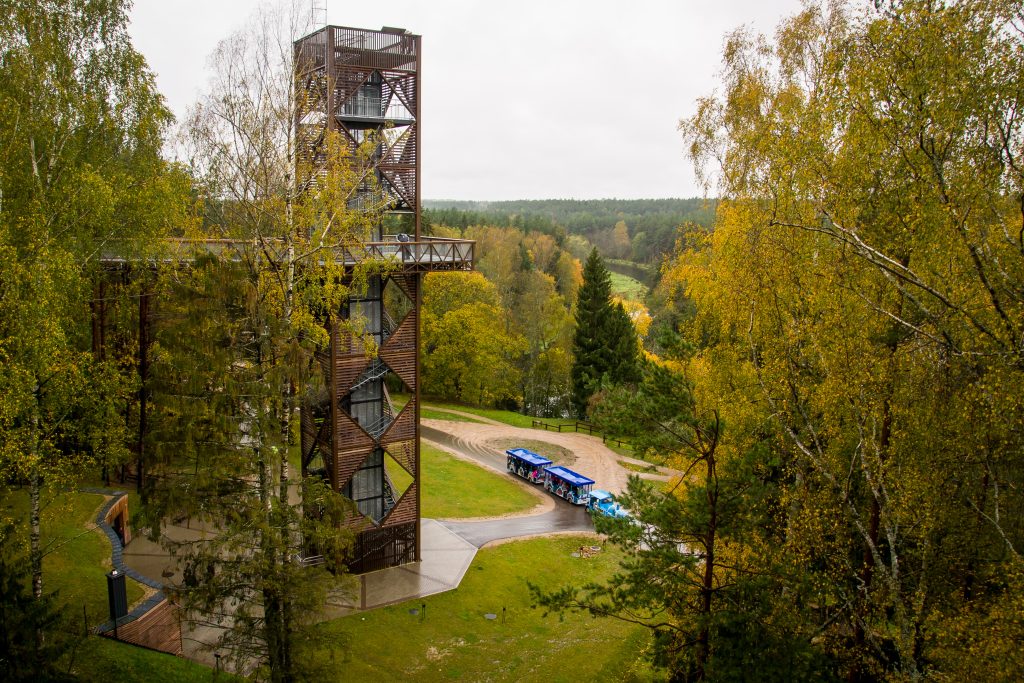 Medžių lajų takas. Marijaus Medišausko nuotr. / Flickr.com