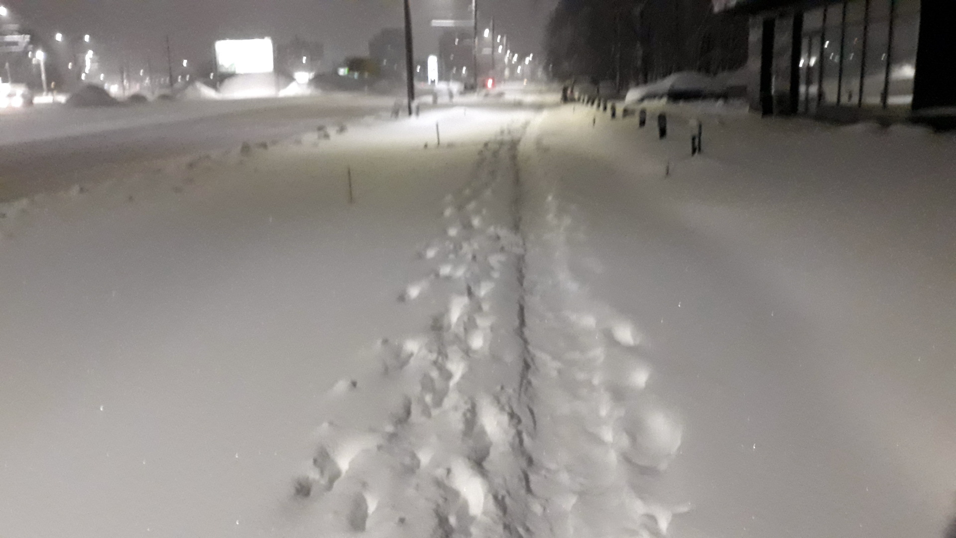 Nenukastas Kauno šaligatvis. Pareiškėjos nuotr.