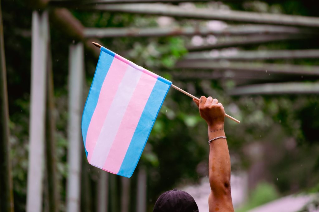 Pakelta žmogaus ranka, laikanti translyčių asmenų vėliavą